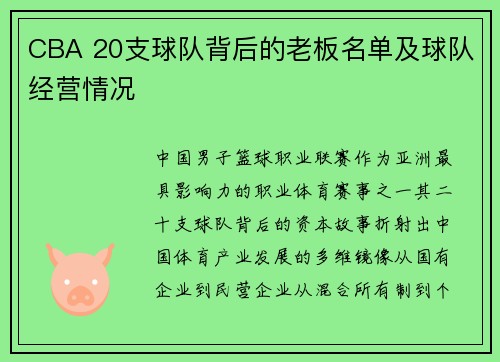 CBA 20支球队背后的老板名单及球队经营情况